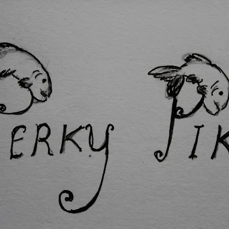 호텔 Perky Pike *