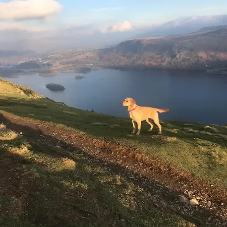 호텔 Perky Pike 케직